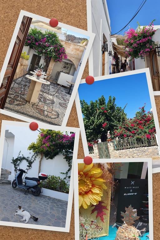 Blumenpracht in Griechenland (Collage)